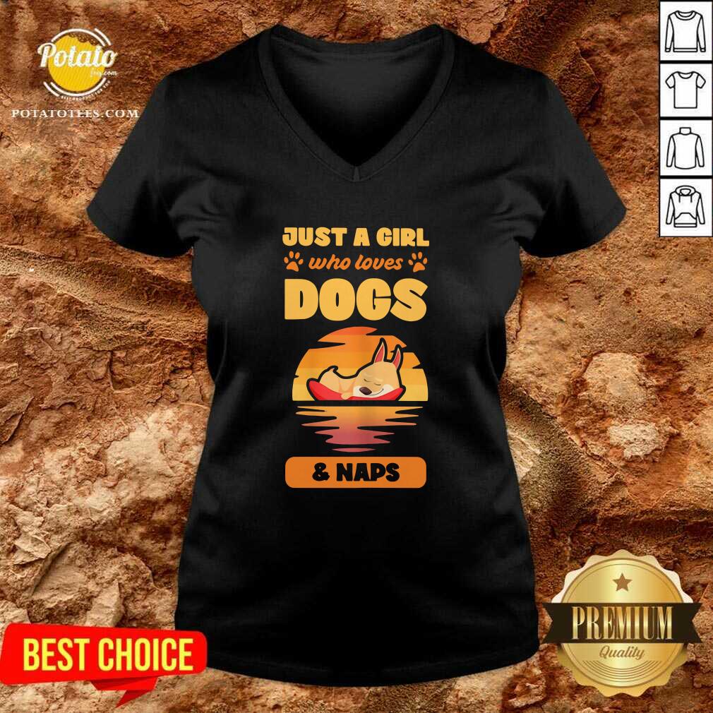 Funny Just A Girl Who Loves Dogs And Naps Shirt