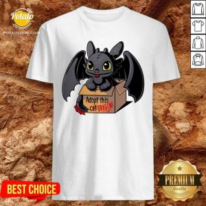 Funny Adopt This Dragon Shirt