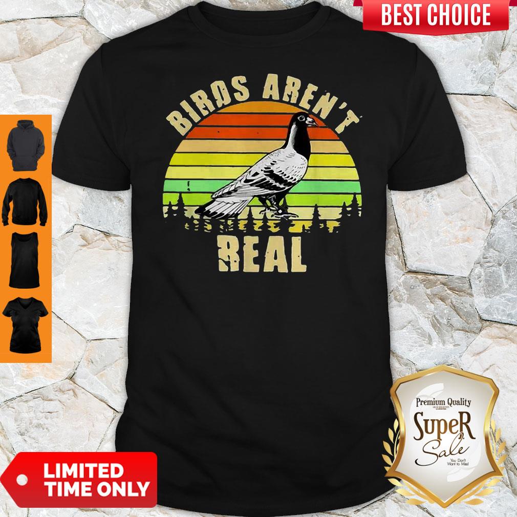 Funny Birds Aren’t Real Vintage Sunset Shirt