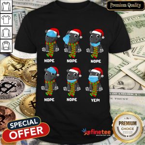 Nice Christmas 2020 Hippopotamus Wearing Mask Wrong Funny Pajama Shirt