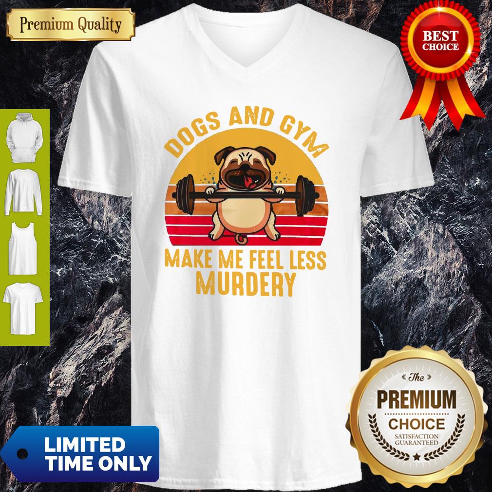 Nice Dogs And Gym Make Me Feel Less Murdery Sunset Vintage Shirt