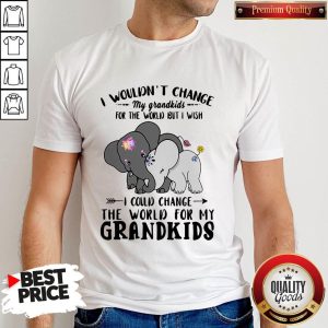 Elephant I Wouldn't Change My Grandkids For The World But I Wish Shirt
