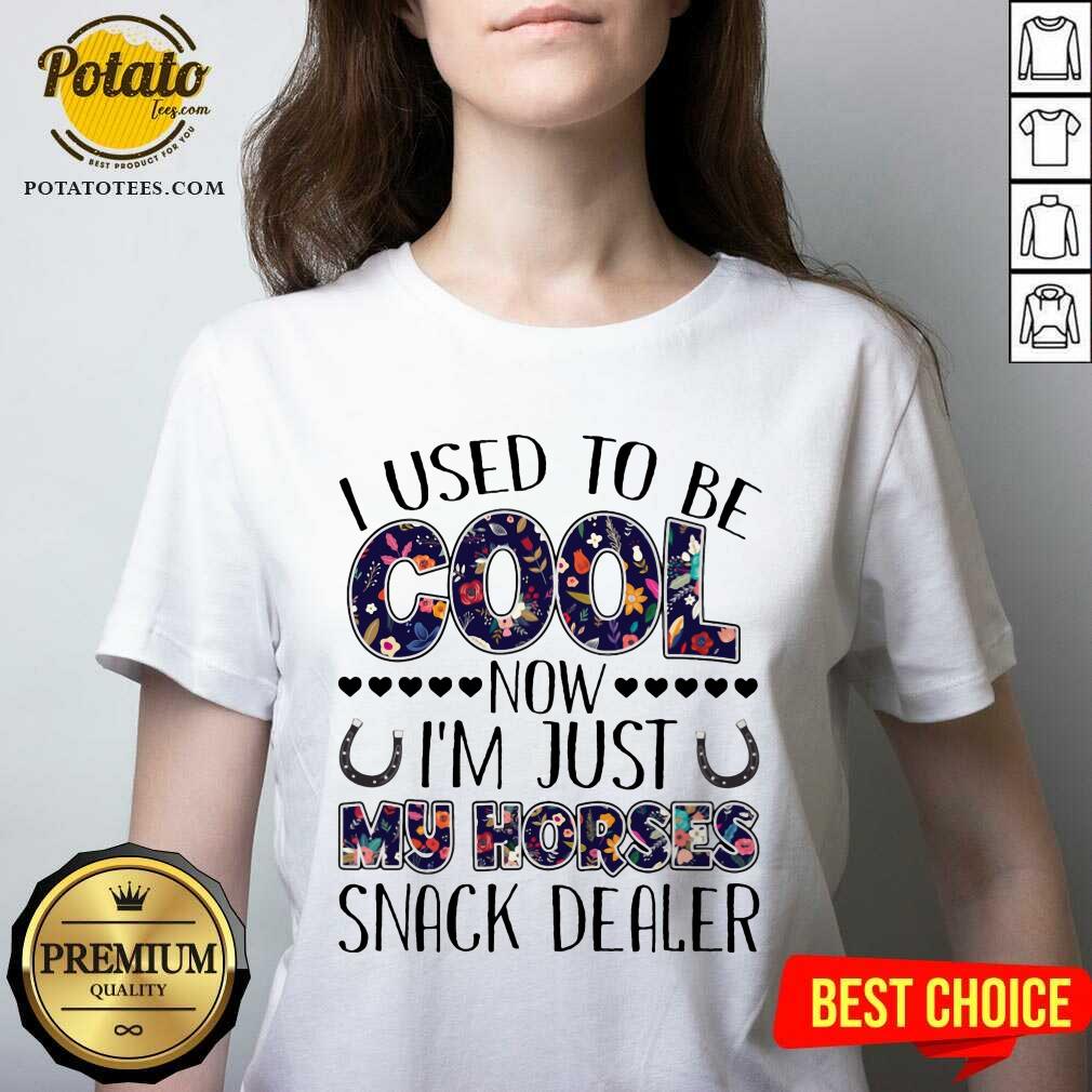 I Used To Be Cool I'm Just My Horse Snack Dealer Shirt