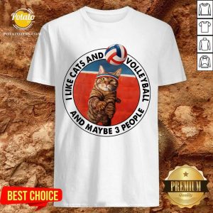 I Like Cats And Volleyball And Maybe 3 People Shirt