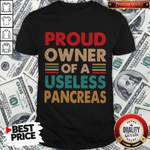 Funny Proud Descendant Confederate Soldier Shirt