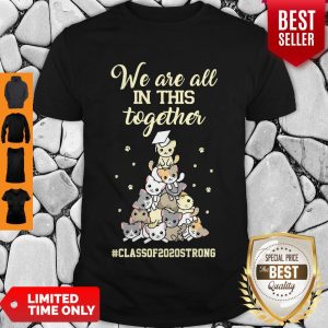 Pretty We Are All In This Together #class Of 2020 Strong Cat Shirt