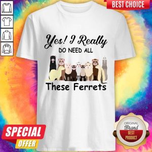 Nice Yes I Really Do Need All These Ferrets Shirt