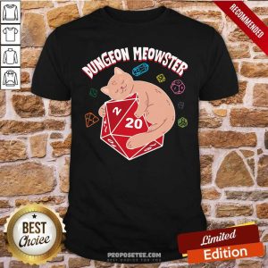 Funny Dungeon Meowster Shirt