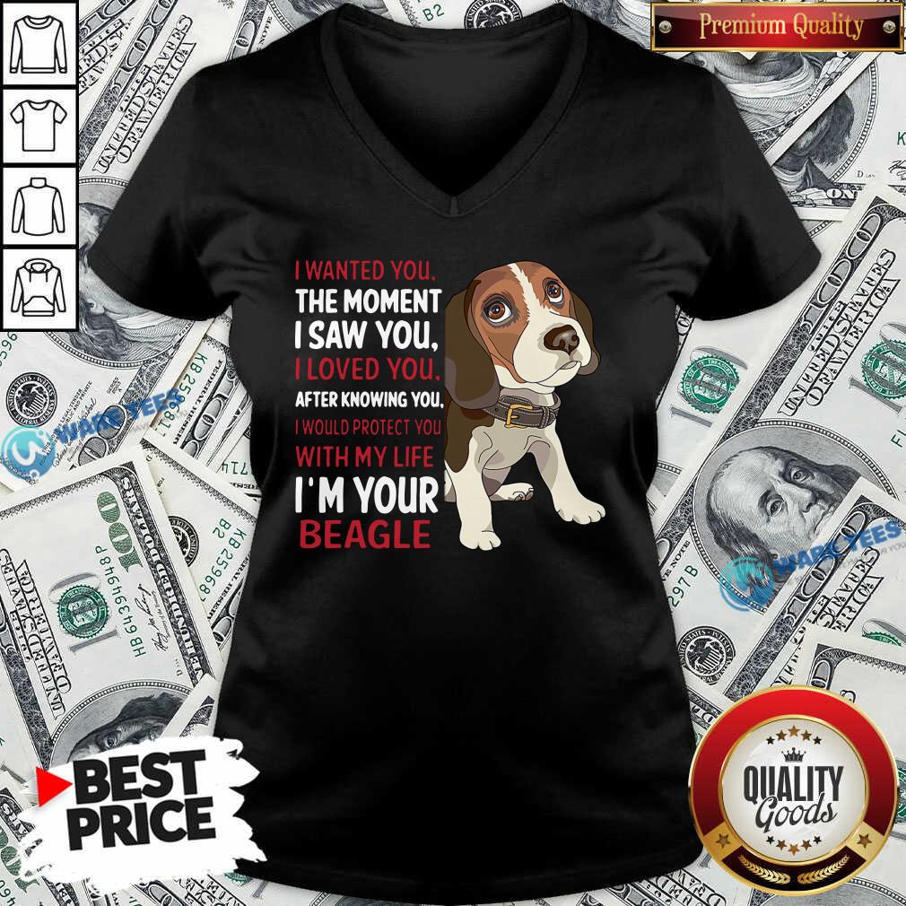 awesome-beagle-wanted-i-wanted-you-the-moment-i-saw-you-i-loved-you-after-knowing-you-v-neck.jpg