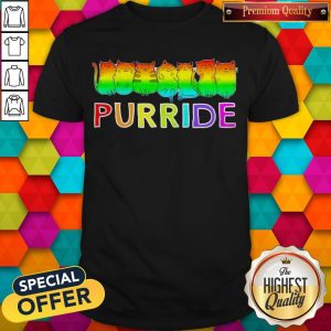 Awesome Purride Cat Lgbt Pride Women’s Shirt
