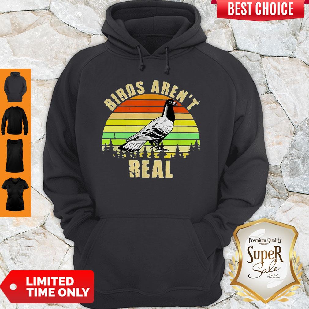Funny Birds Aren’t Real Vintage Sunset Shirt