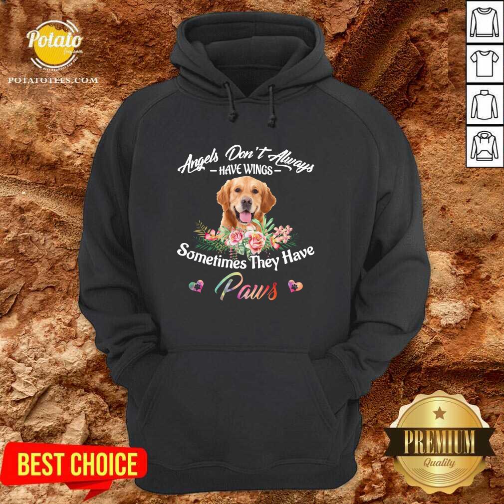 awesome-angels-dont-always-have-wings-yorkshire-terrier-sometimes-they-have-paws-hoodie.jpg