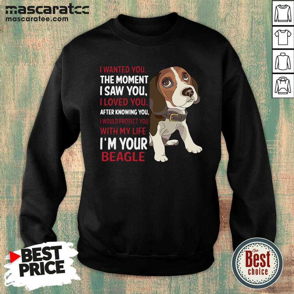 awesome-beagle-wanted-i-wanted-you-the-moment-i-saw-you-i-loved-you-after-knowing-you-sweatshirt.jpg