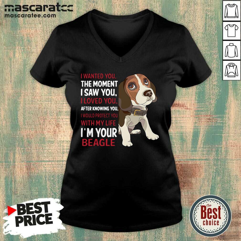 awesome-beagle-wanted-i-wanted-you-the-moment-i-saw-you-i-loved-you-after-knowing-you-v-neck.jpg