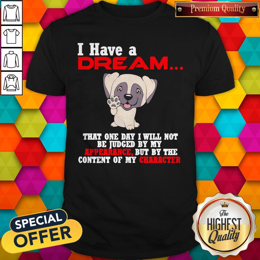 awesome-i-have-i-dream-that-one-day-i-will-not-be-judged-by-my-appearance-but-by-the-content-of-my-character-shirt.jpg