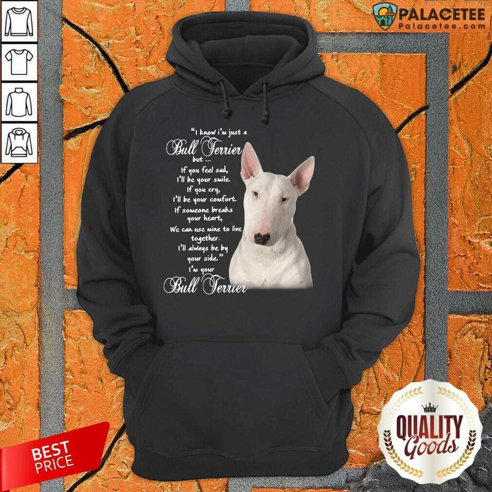 Awesome I Know I’m Just A Bull Terrier But If You Feel Sad Shirt