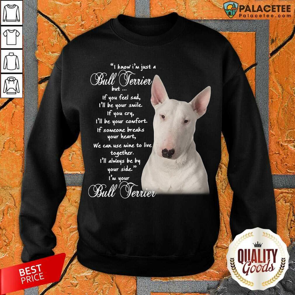 Awesome I Know I’m Just A Bull Terrier But If You Feel Sad Shirt