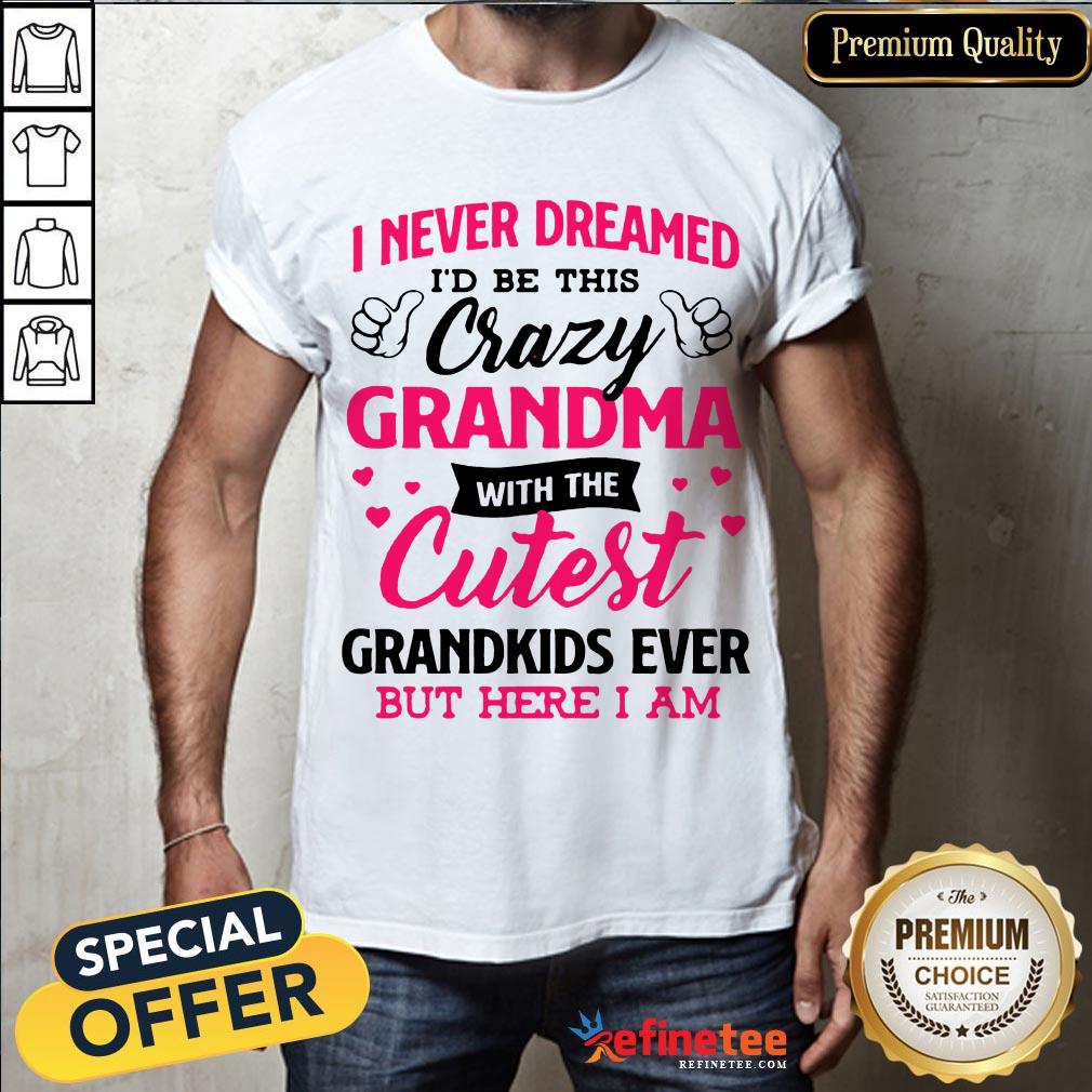 awesome-i-never-dreamed-id-be-this-crazy-grandma-with-the-cutest-grandkids-ever-but-here-i-am-shirt.jpg