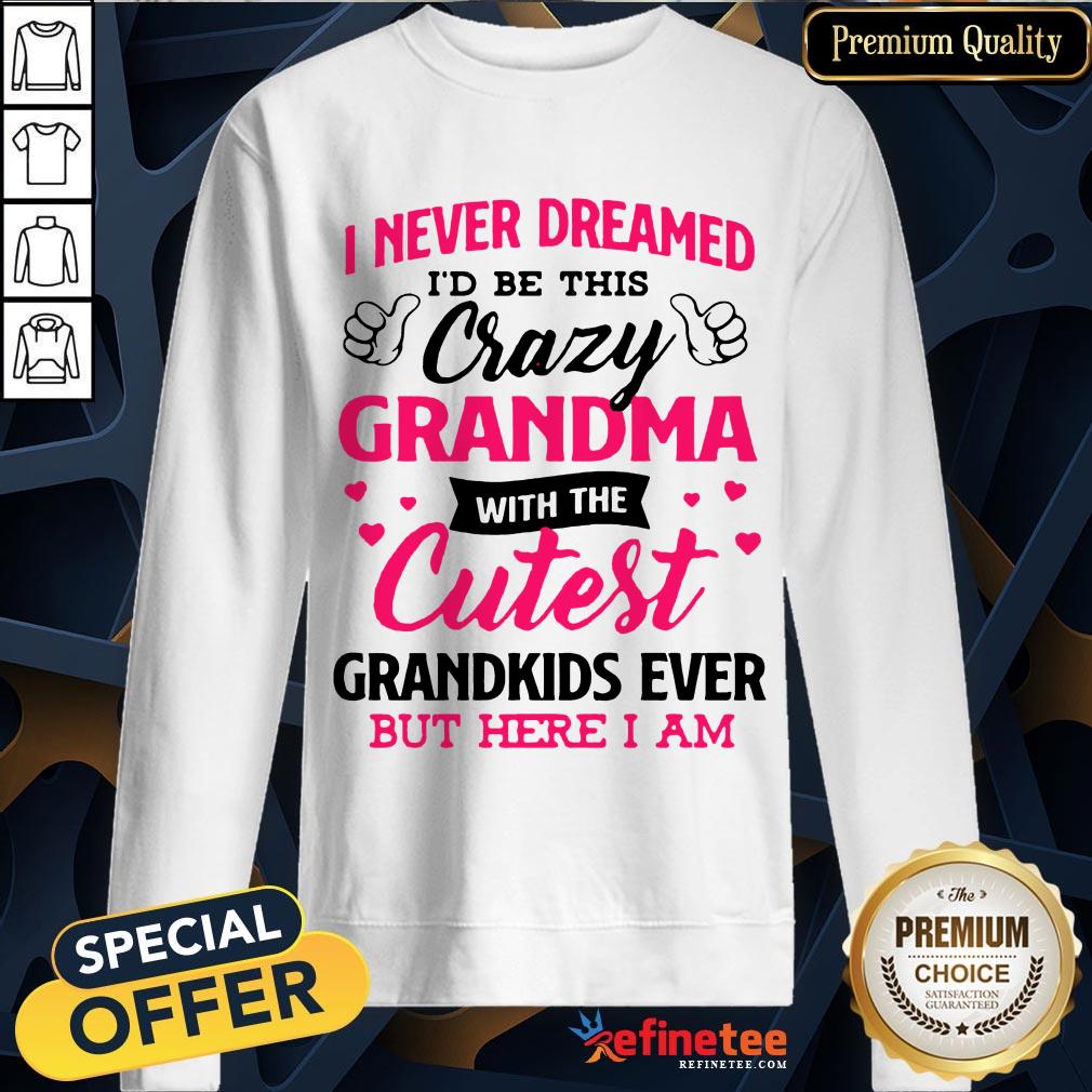 awesome-i-never-dreamed-id-be-this-crazy-grandma-with-the-cutest-grandkids-ever-but-here-i-am-sweatshirt.jpg