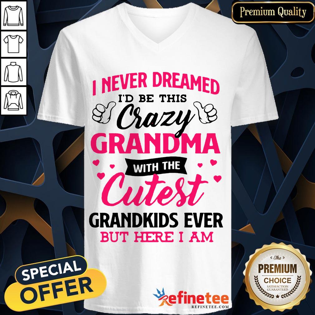awesome-i-never-dreamed-id-be-this-crazy-grandma-with-the-cutest-grandkids-ever-but-here-i-am-v-neck.jpg