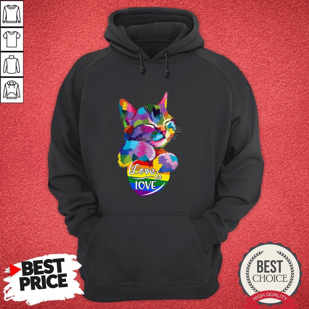 Awesome LGBT Cat Love Is Love Shirt