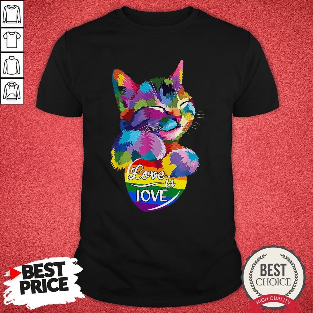 Awesome LGBT Cat Love Is Love Shirt