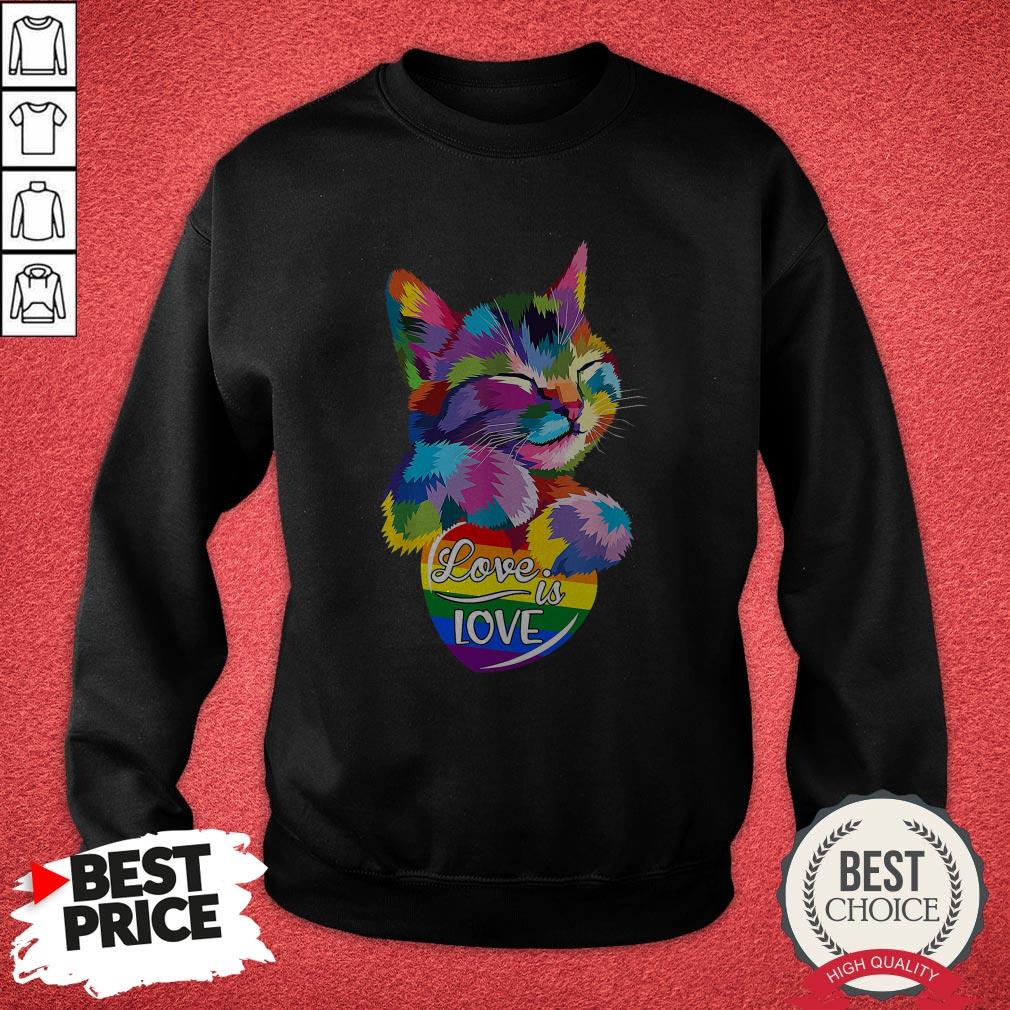 Awesome LGBT Cat Love Is Love Shirt