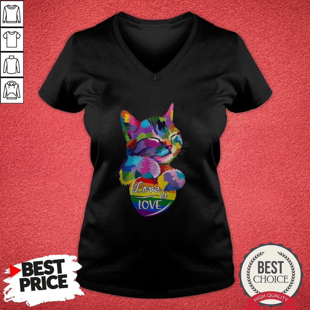 Awesome LGBT Cat Love Is Love Shirt