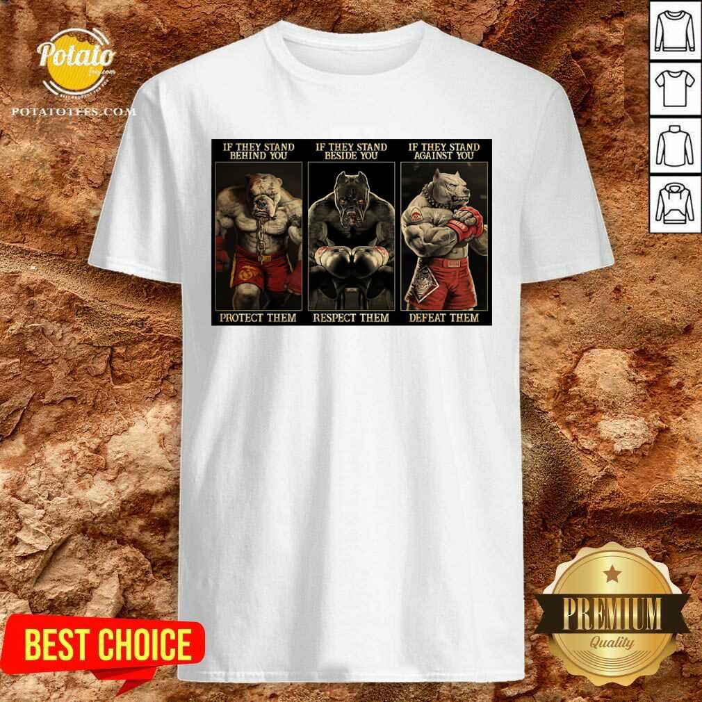 Awesome Pitbull Boxing Protect Respect Defeat If They Stand Behind You Shirt