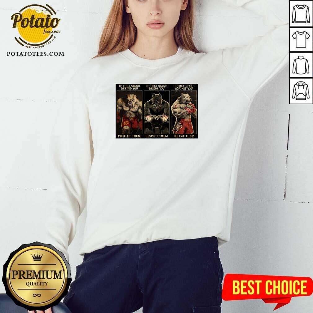 Awesome Pitbull Boxing Protect Respect Defeat If They Stand Behind You Shirt