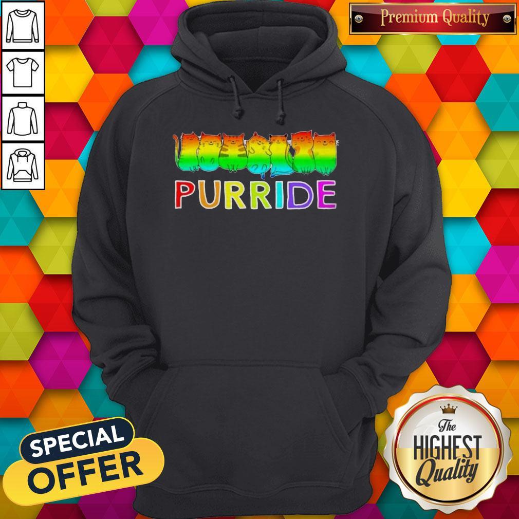 Awesome Purride Cat Lgbt Pride Women’s Shirt