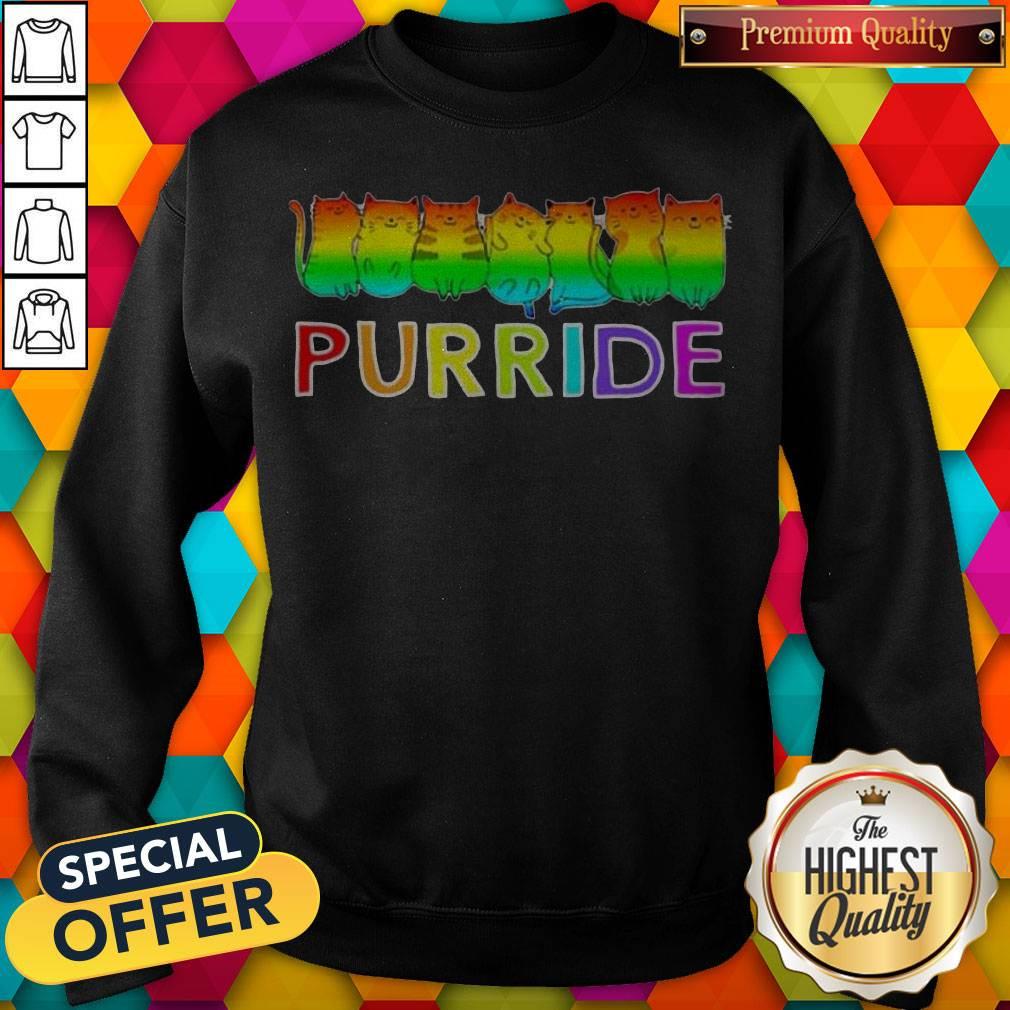 Awesome Purride Cat Lgbt Pride Women’s Shirt