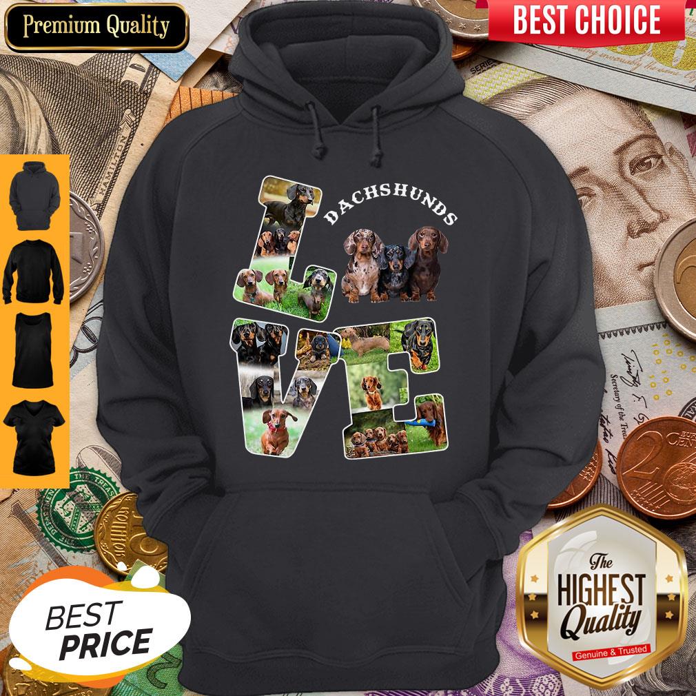 Beautiful Love Dachshunds Dog Shirt