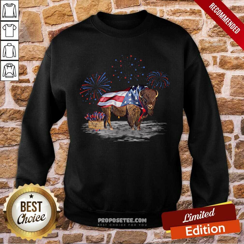 Bison Happy 4th Of July Shirt
