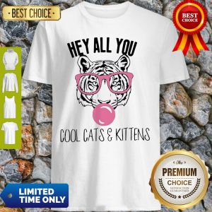 Pretty Hey All You Cool Cats And Kittens Shirt