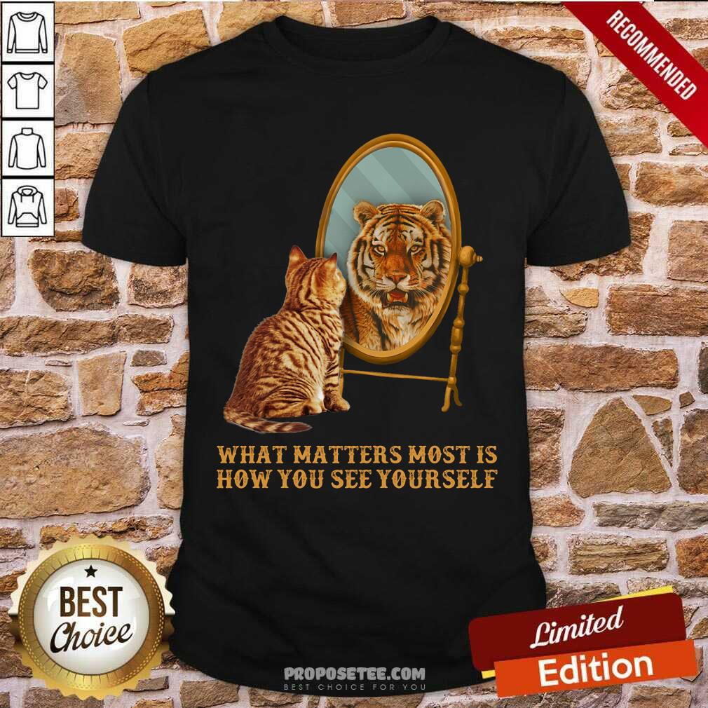 Cat And Tiger What Matters How You See Yourself Shirt