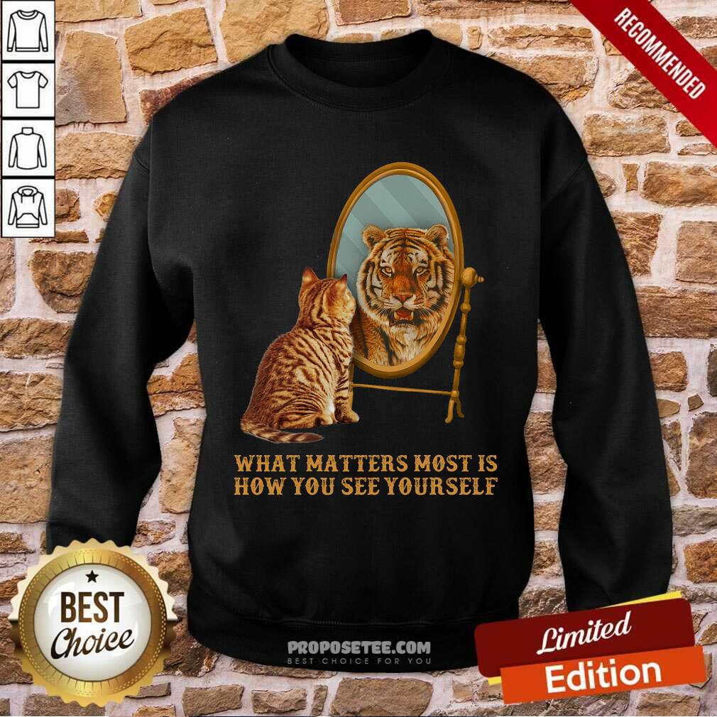 Cat And Tiger What Matters How You See Yourself Shirt
