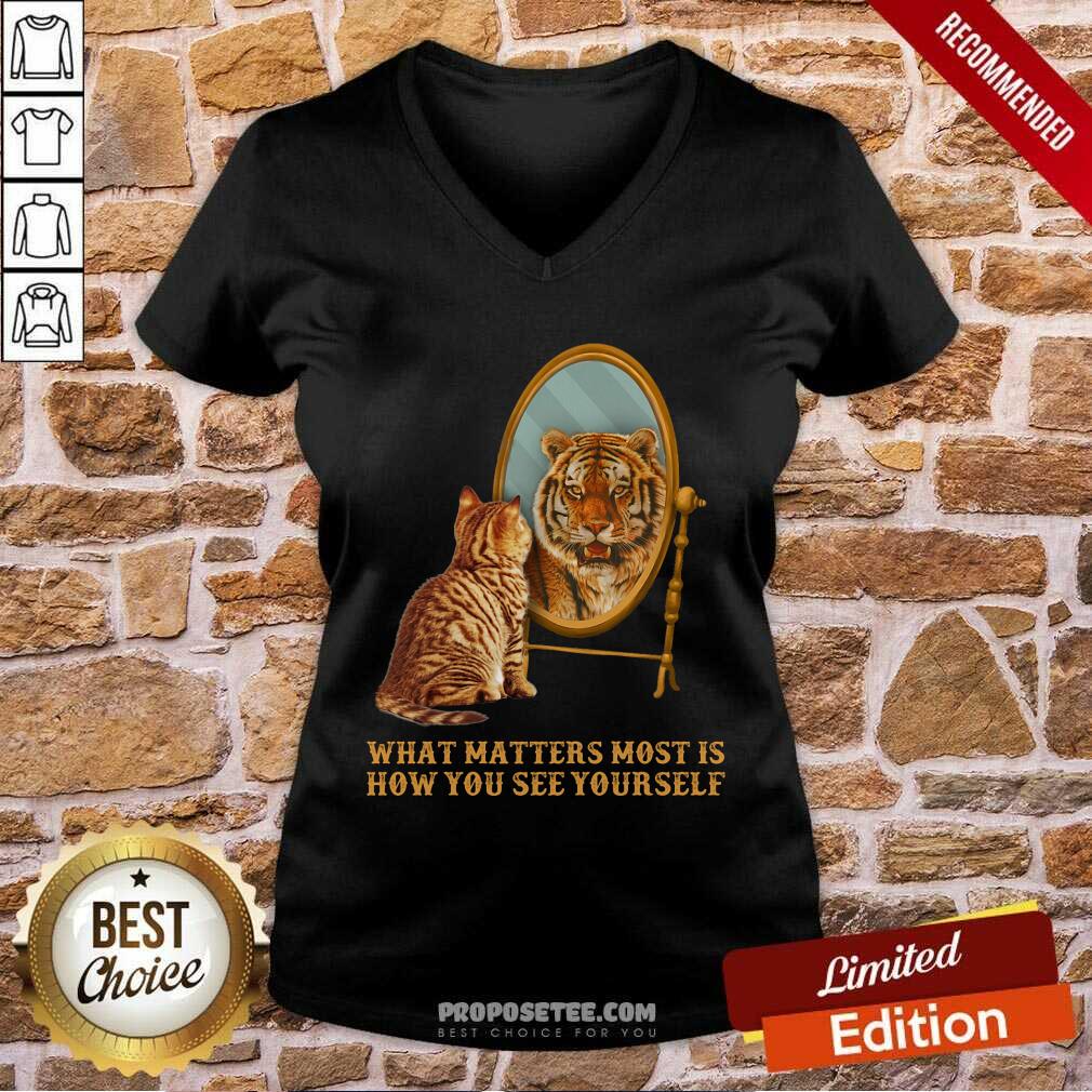 Cat And Tiger What Matters How You See Yourself Shirt
