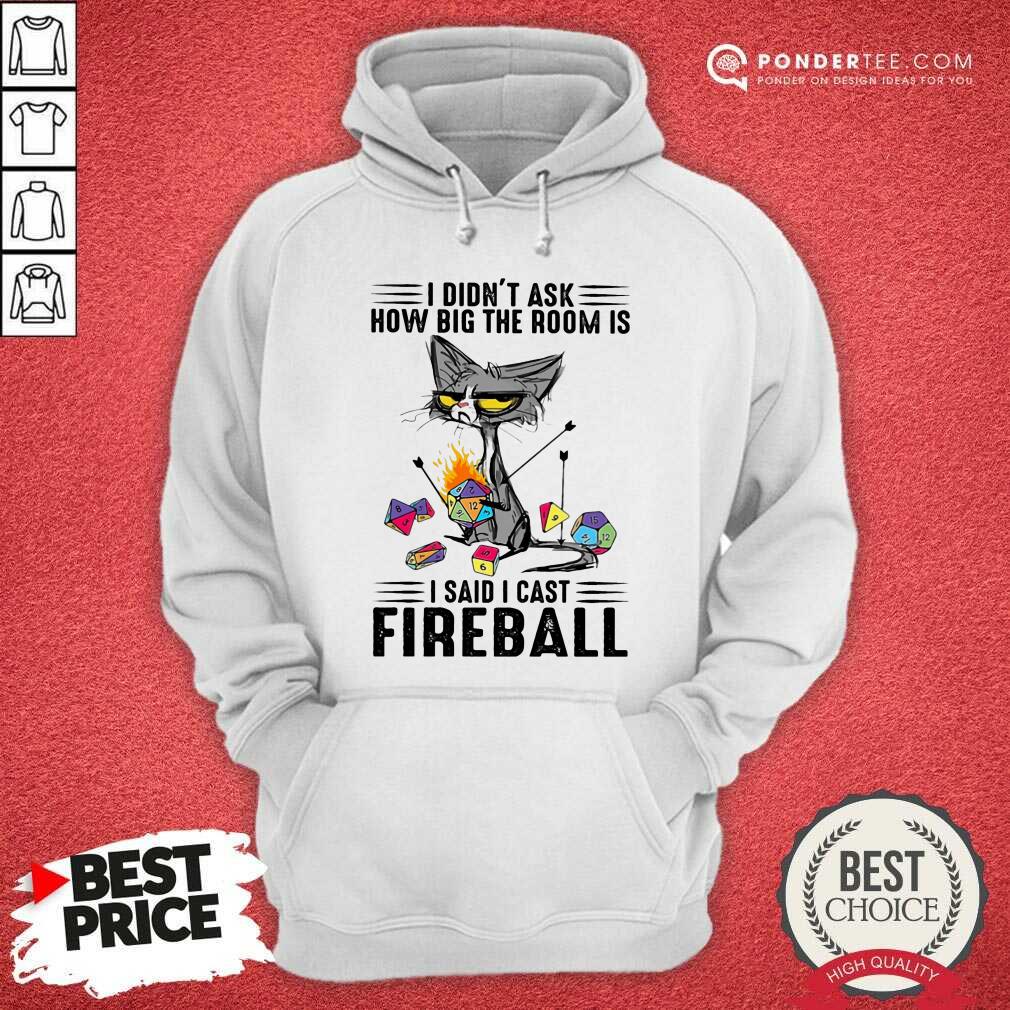 Cat I Didn't Ask How Big The Room Was I Said I Cast Fireball Shirt