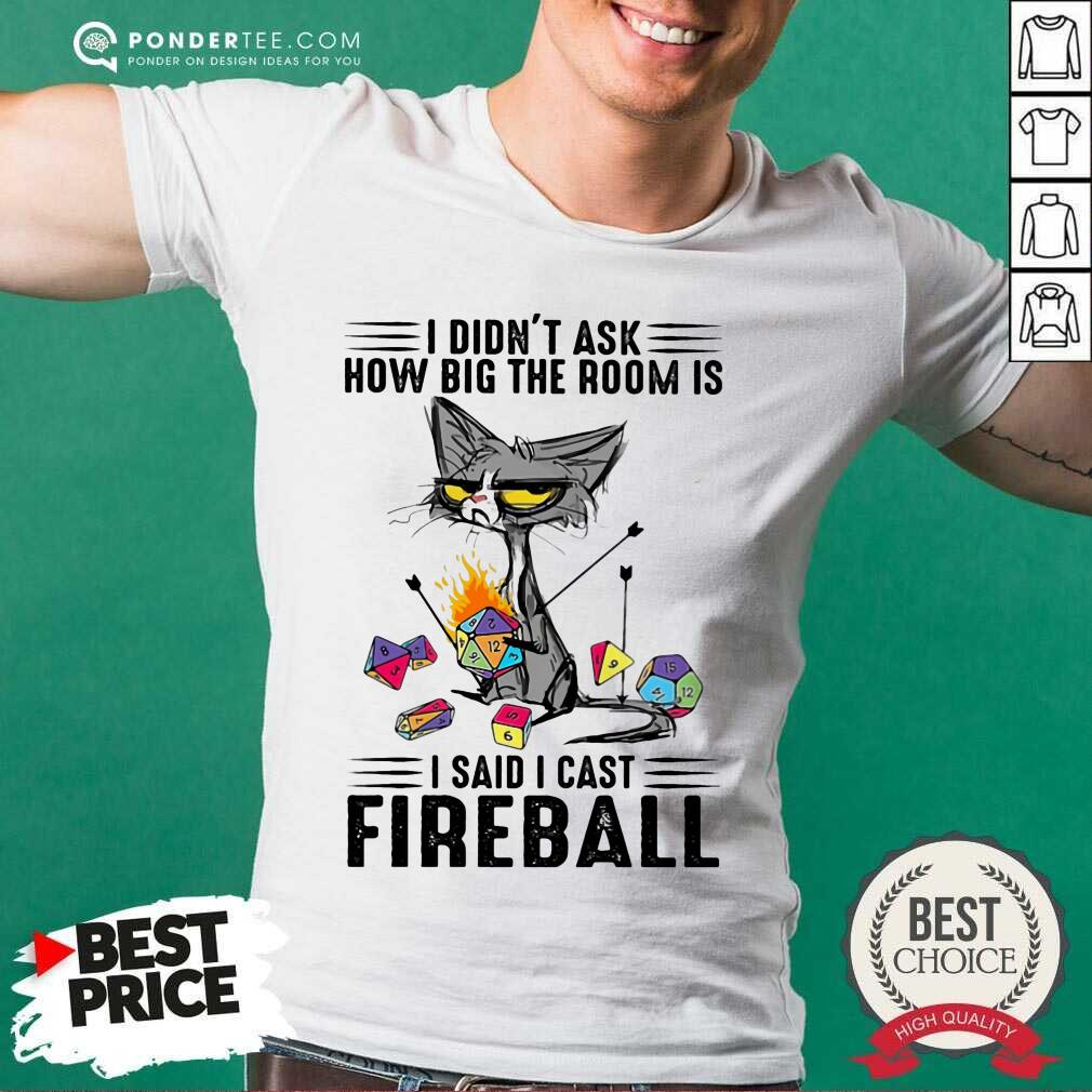 Cat I Didn't Ask How Big The Room Was I Said I Cast Fireball Shirt