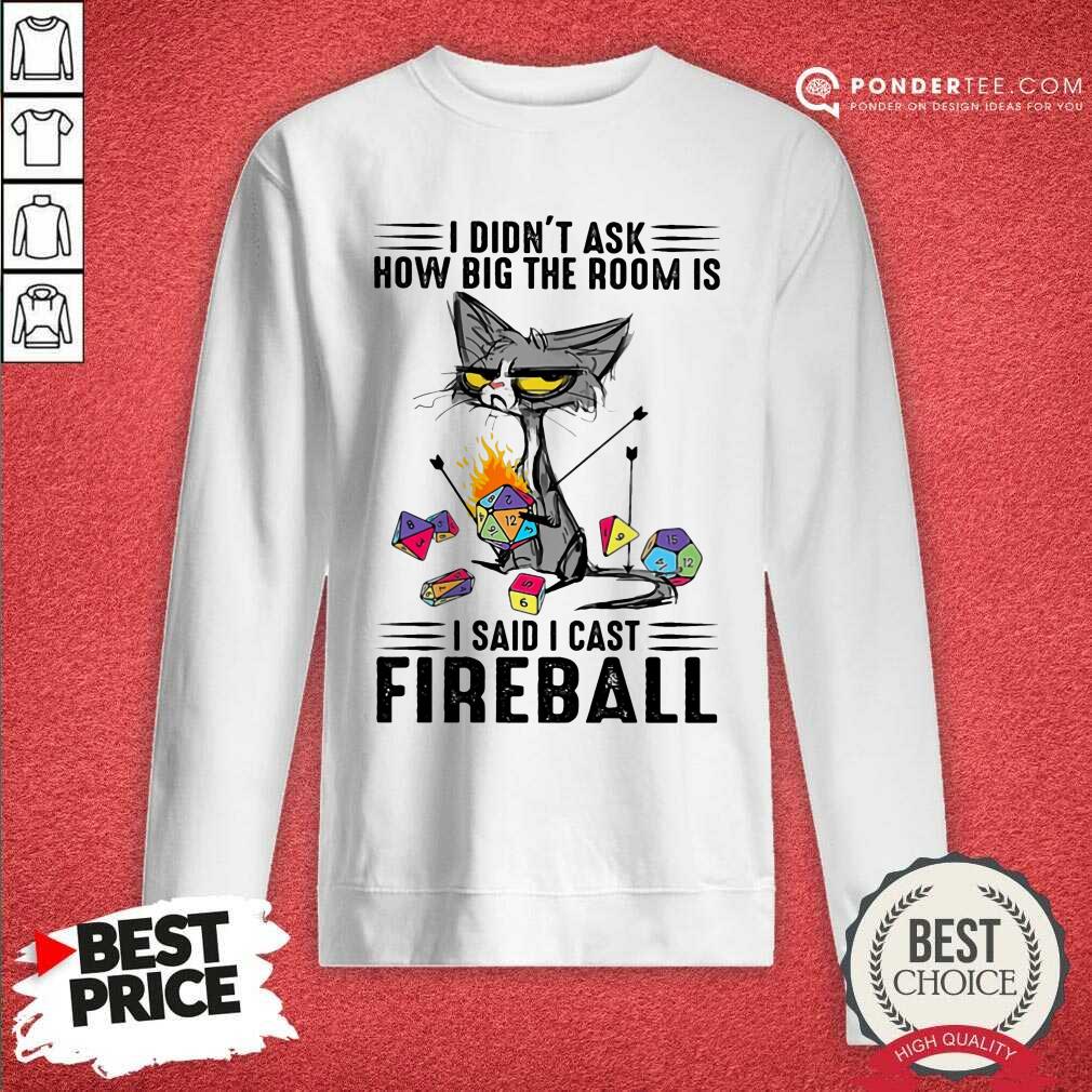 Cat I Didn't Ask How Big The Room Was I Said I Cast Fireball Shirt