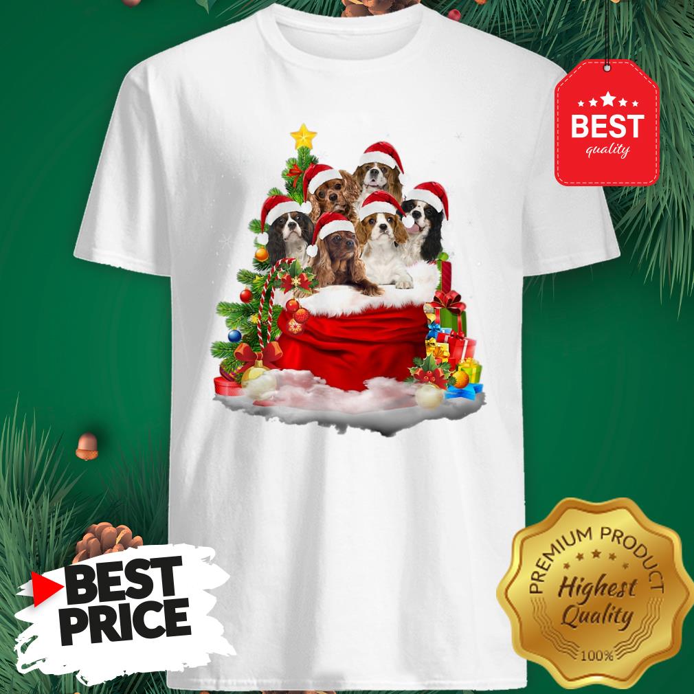 Cavalier King Charles Spaniel Santa Claus Christmas Shirt