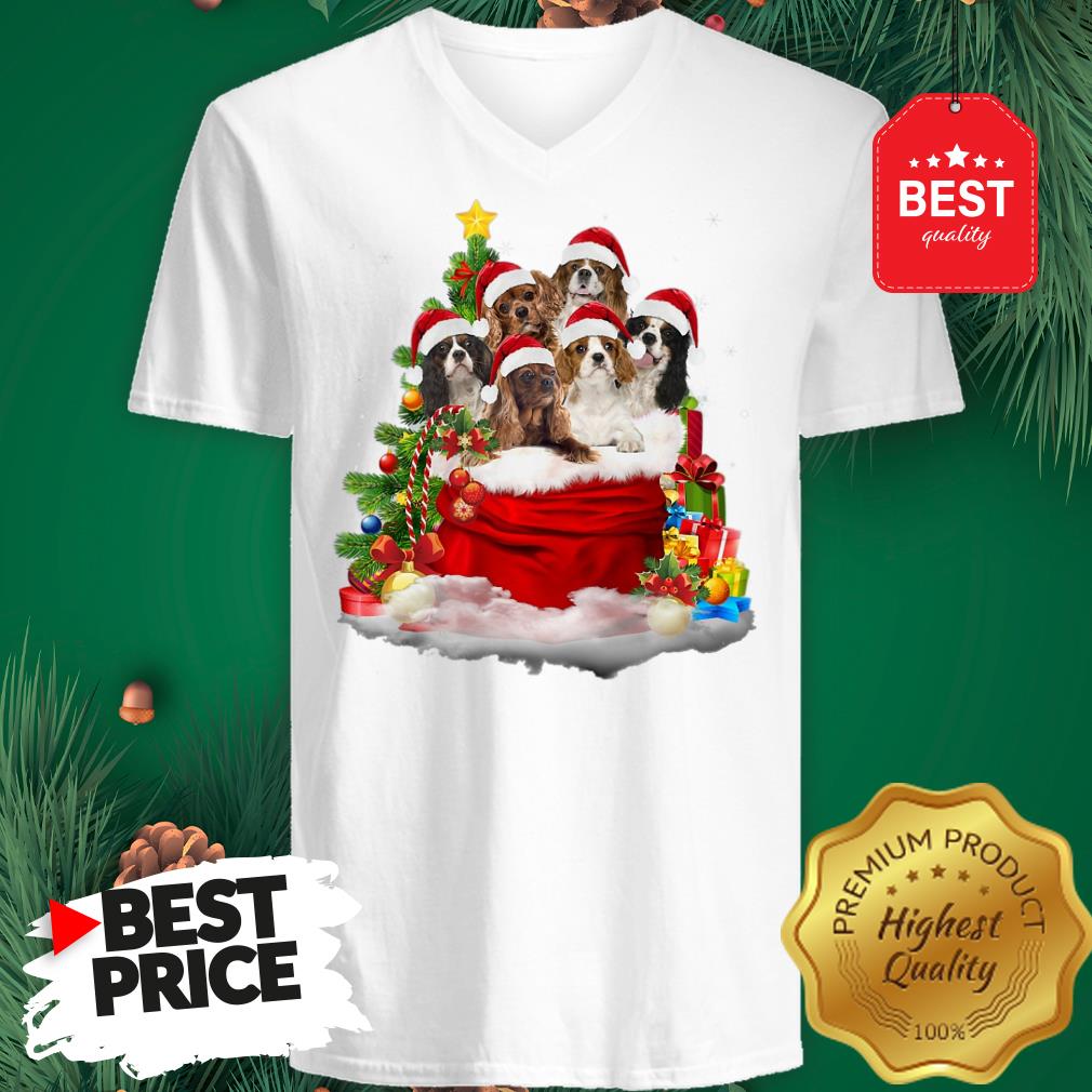 Cavalier King Charles Spaniel Santa Claus Christmas Shirt