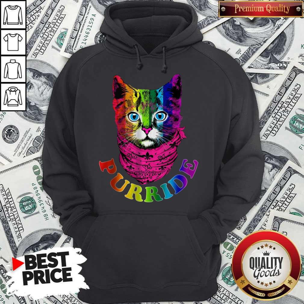 Colorful Pride Cat Gay Pride Shirt