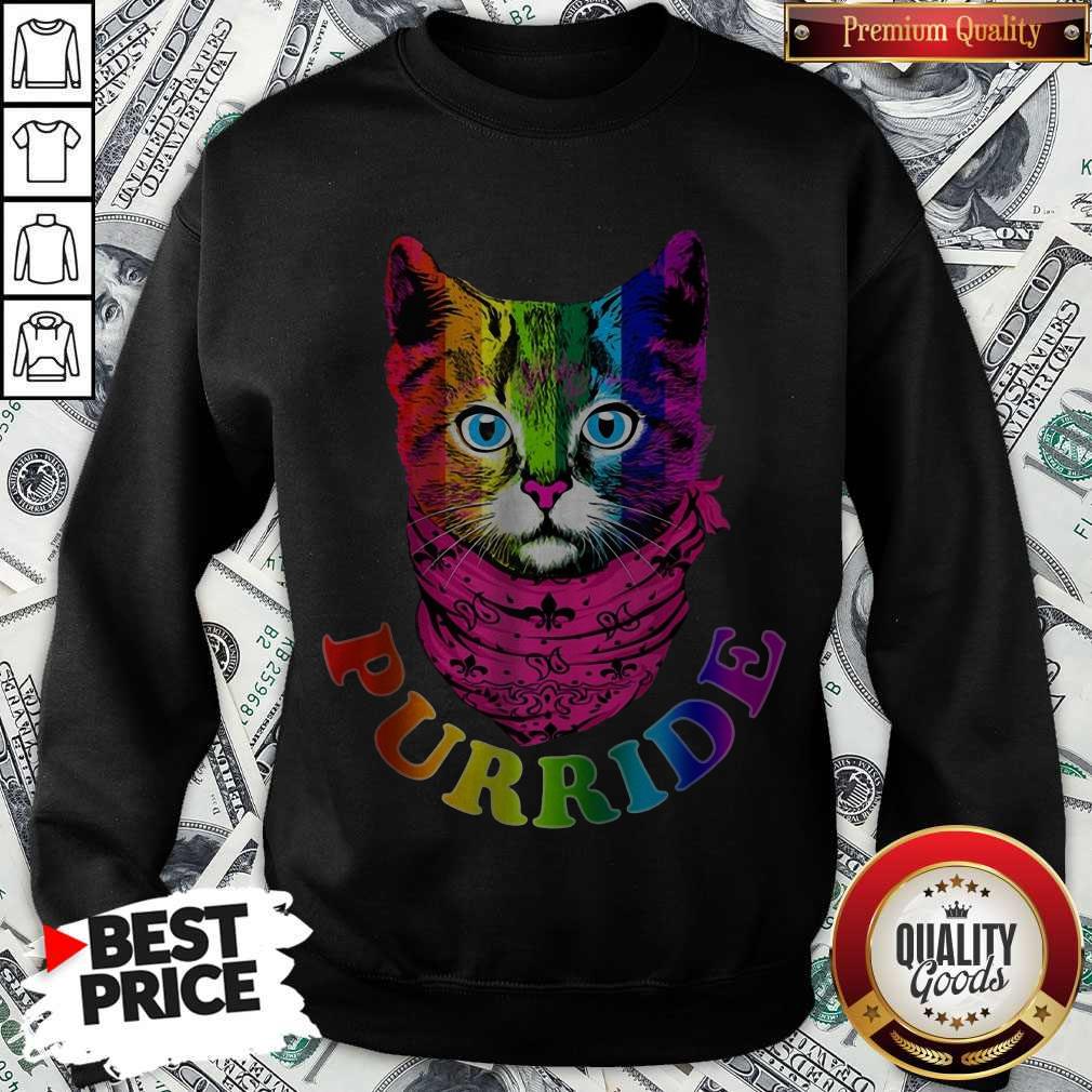 Colorful Pride Cat Gay Pride Shirt