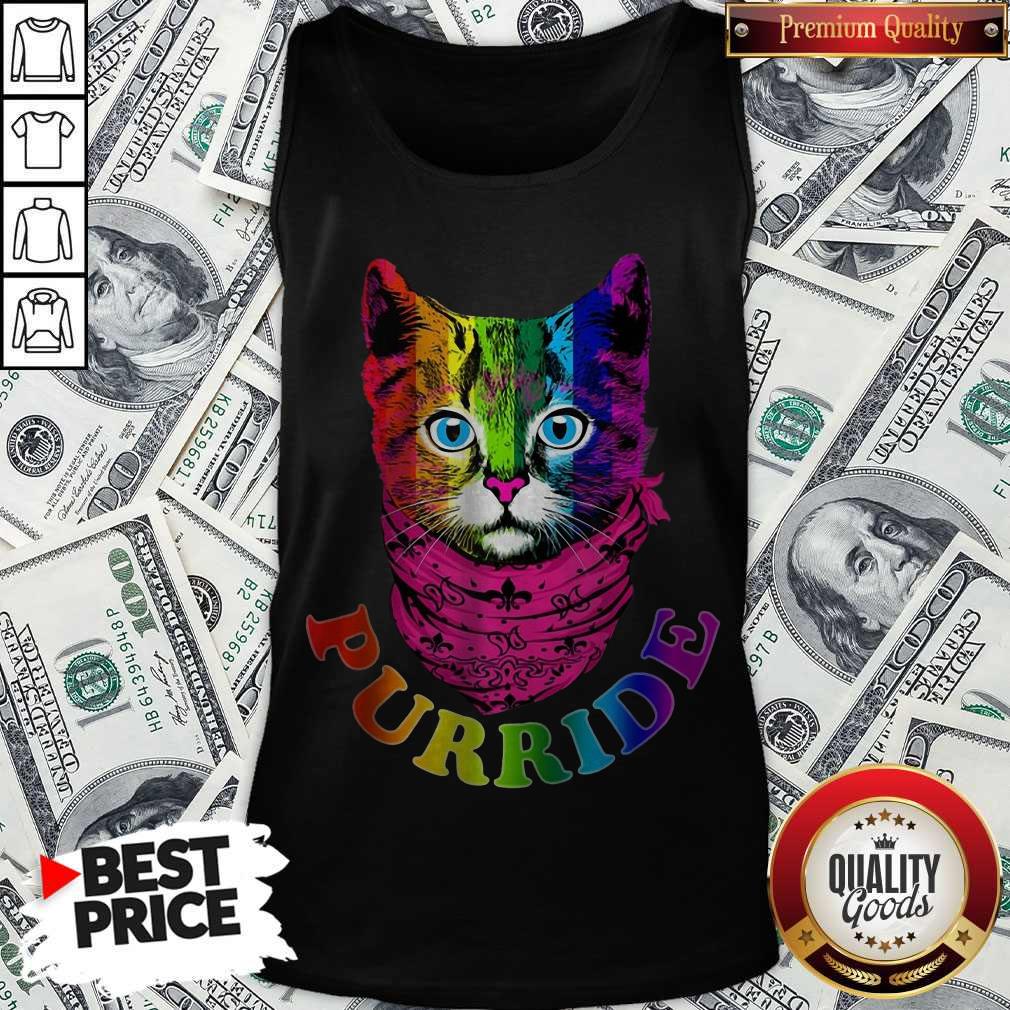 Colorful Pride Cat Gay Pride Shirt