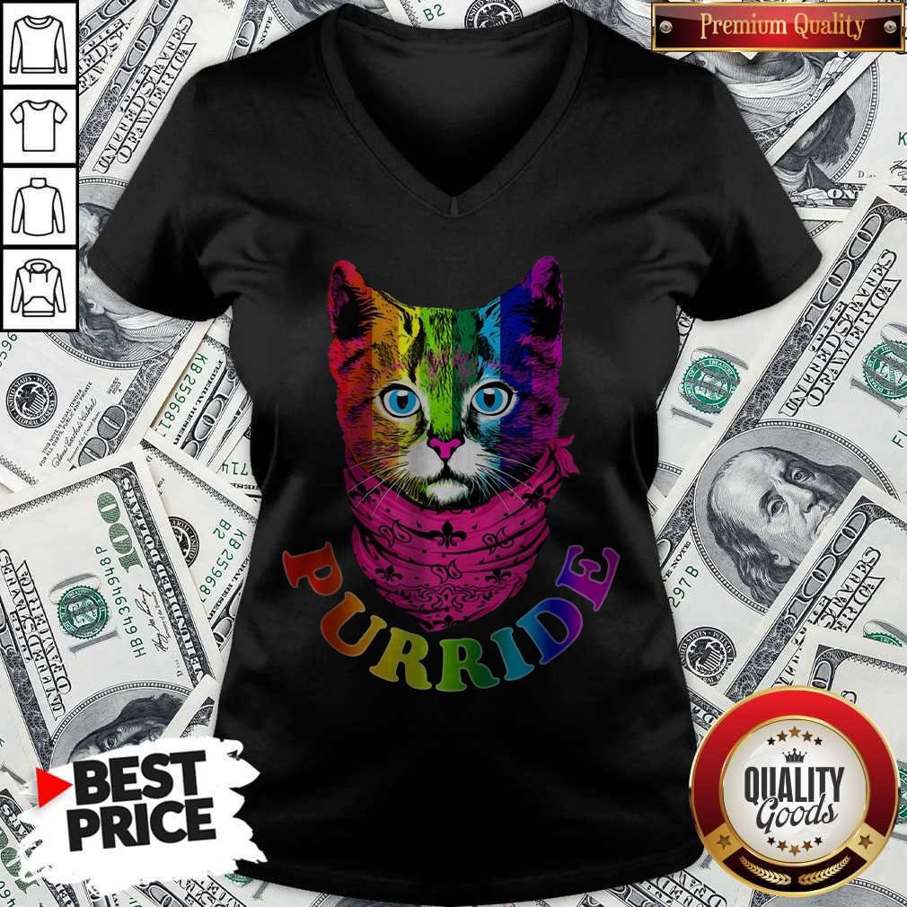 Colorful Pride Cat Gay Pride Shirt