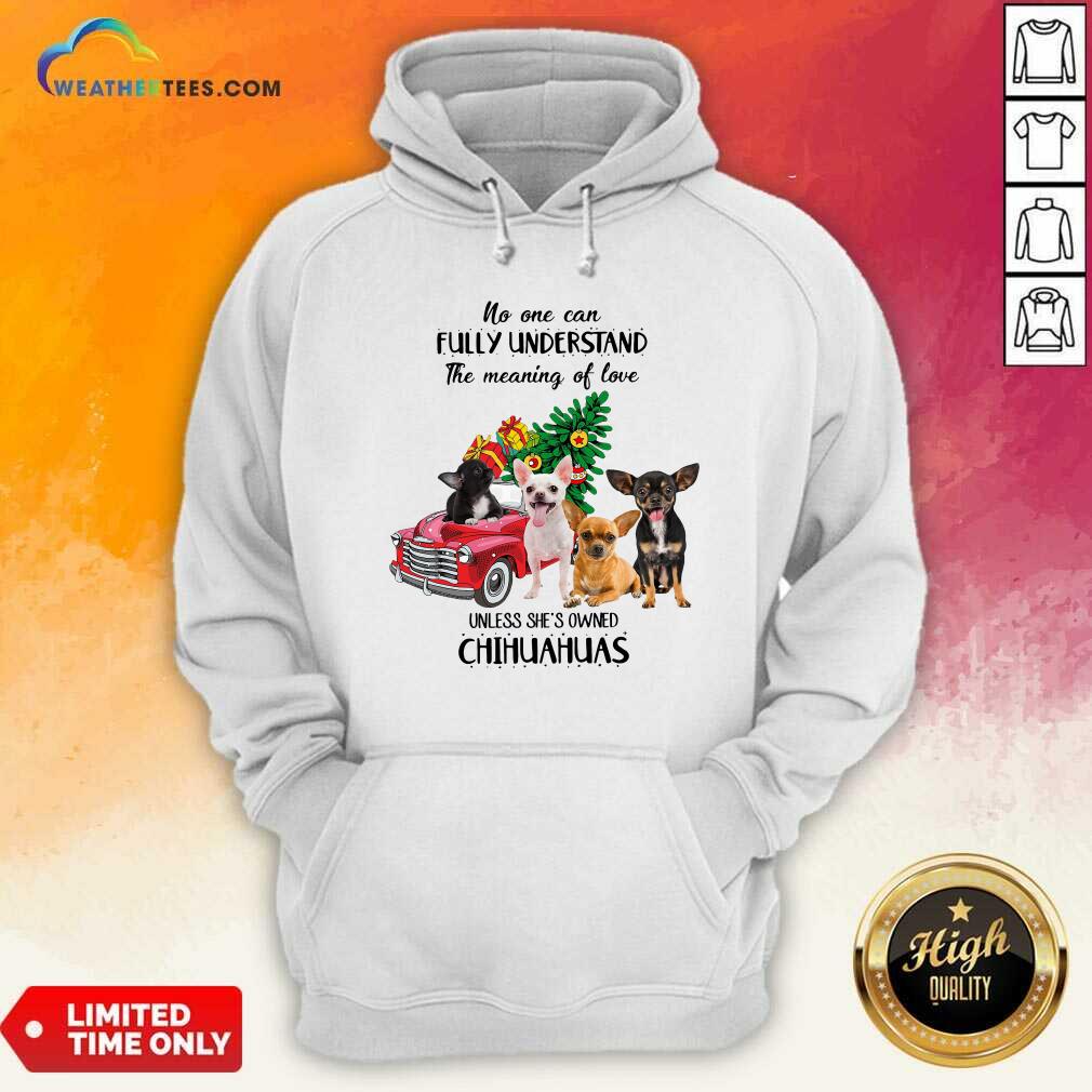 Cool No One Can Fully Understand The Meaning Of Love Chihuahuas Christmas Shirt