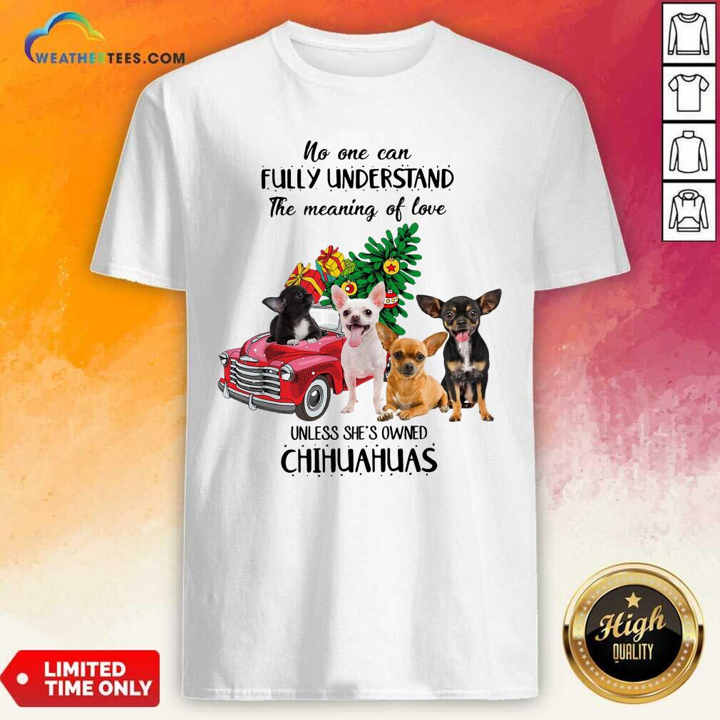 Cool No One Can Fully Understand The Meaning Of Love Chihuahuas Christmas Shirt