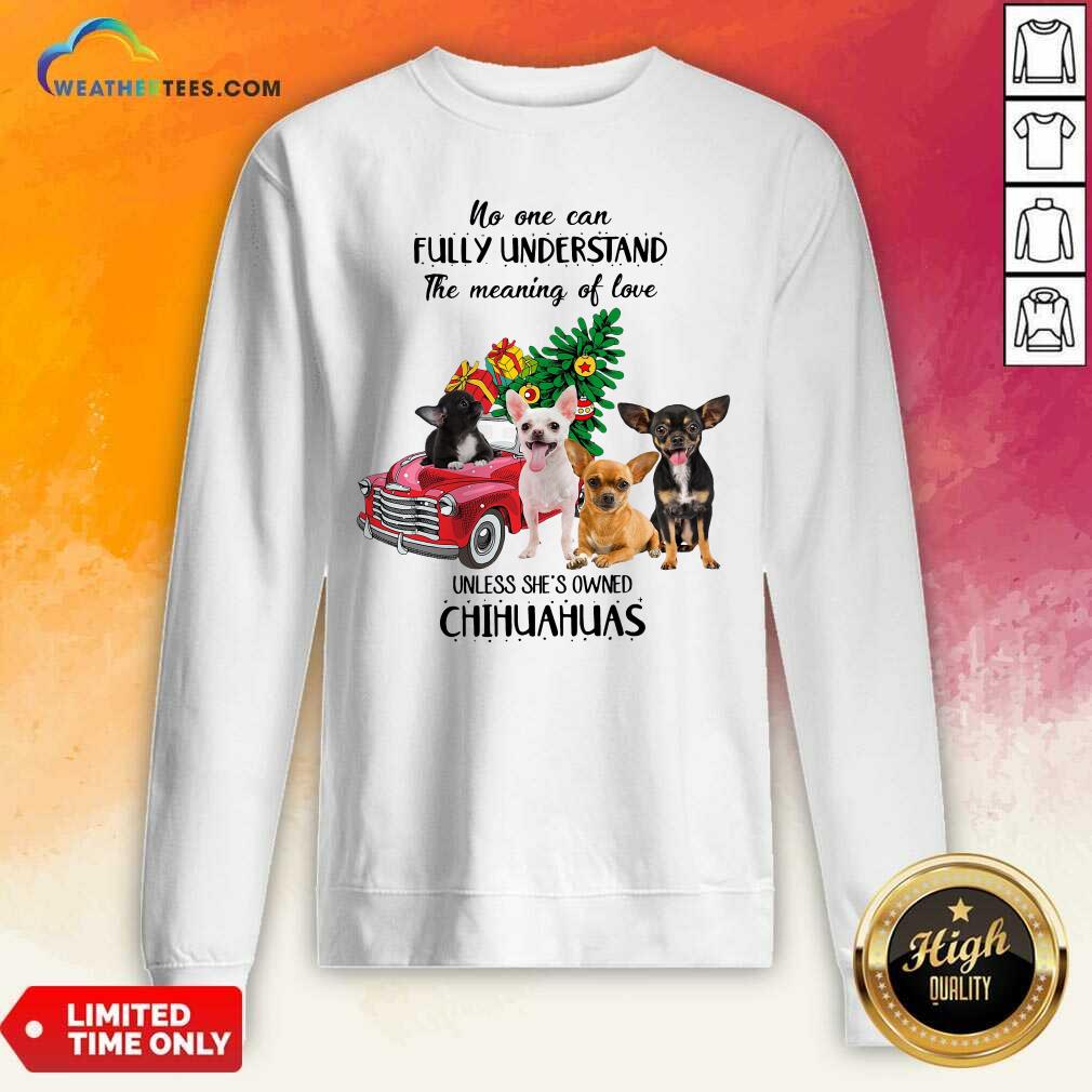 Cool No One Can Fully Understand The Meaning Of Love Chihuahuas Christmas Shirt